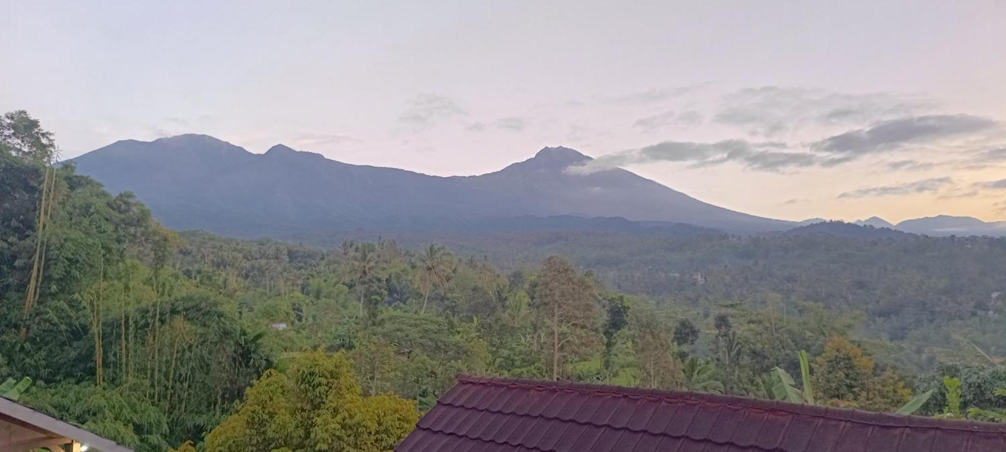 Tetebatu Terrace Homestay Экстерьер фото